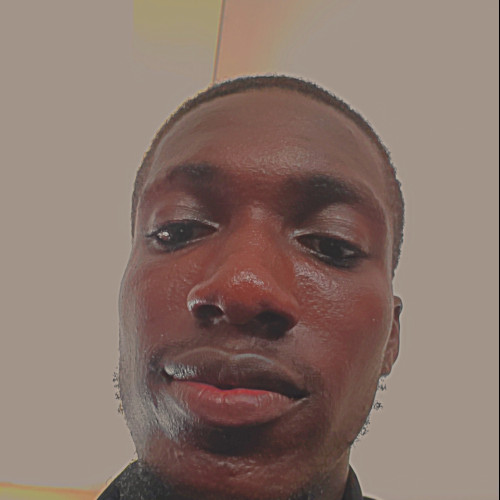 Anifowoshe O. profile photo