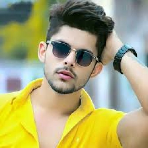 shaik P.