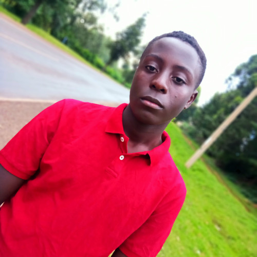 Kelvin K. profile photo