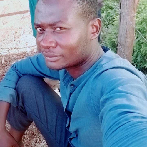 Daniel s. profile photo