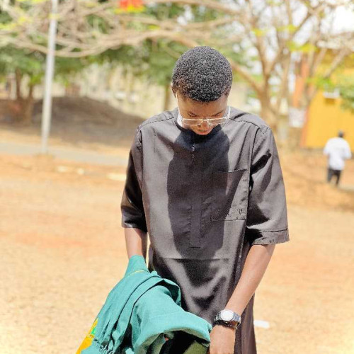 chibuike b. profile photo