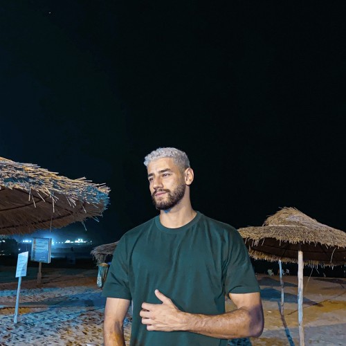 Walid H.