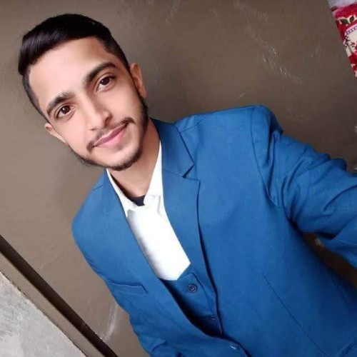 Shahzaib  B.