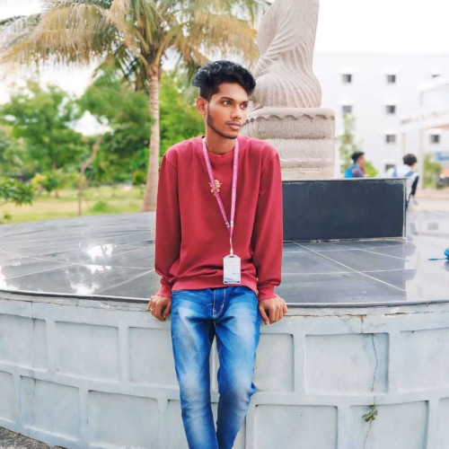 vamsi r.