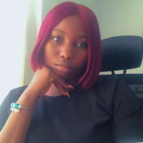 Oluwaseyi A. profile photo