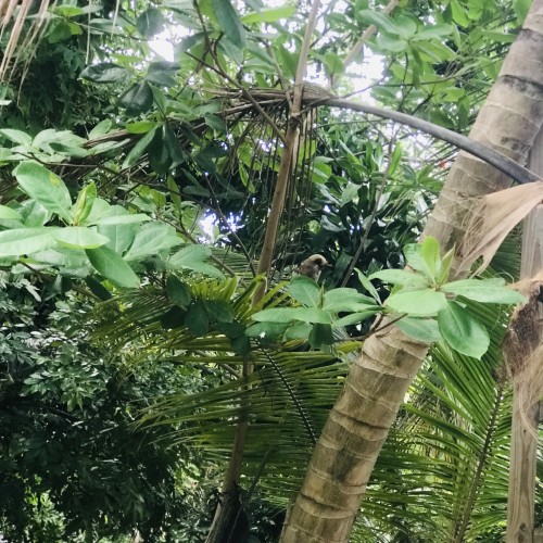 Tajay S. profile photo