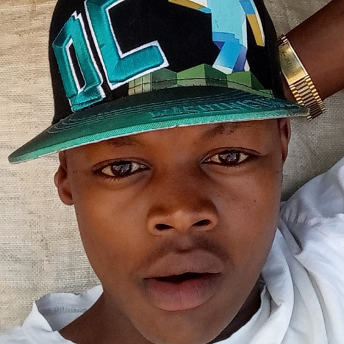 Max W. profile photo
