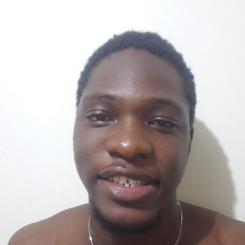 Olamilekan  O. profile photo