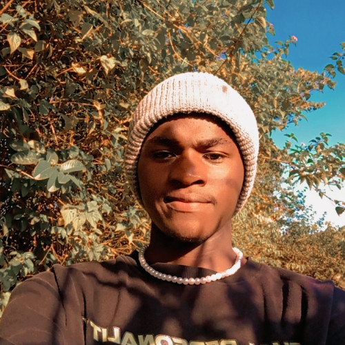 Harrison K. profile photo