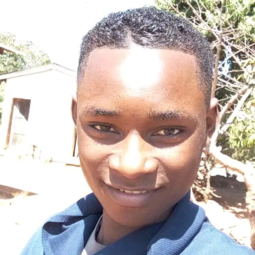 Brison  K. profile photo