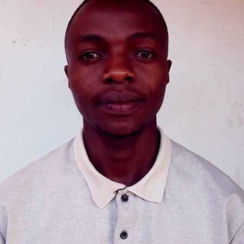 Bob Fortune K. profile photo