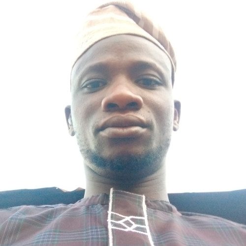 oyedokun a. profile photo