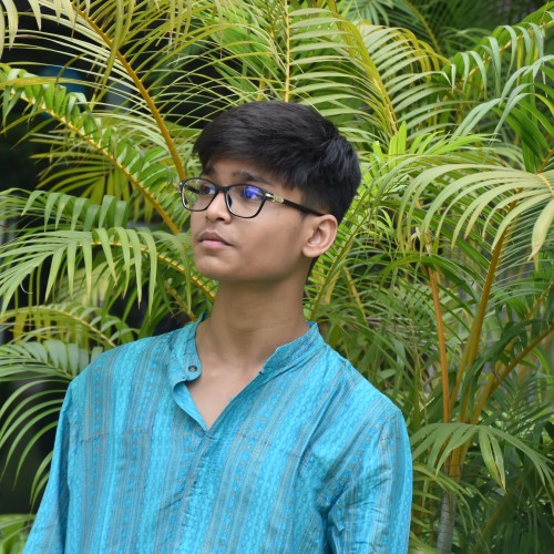 Swapneel P.