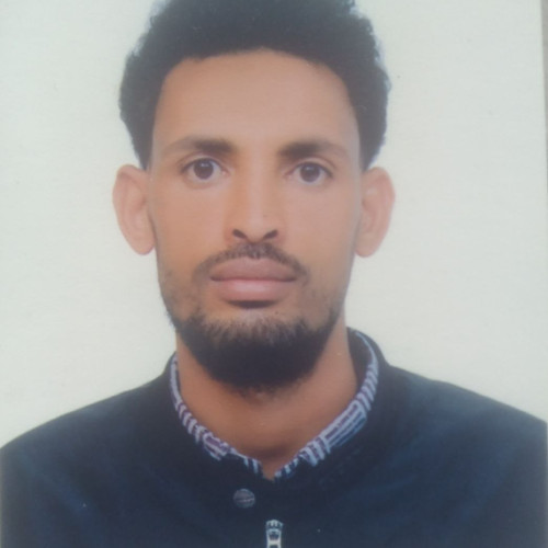 Sintayehu D. profile photo