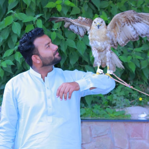 Usman A.