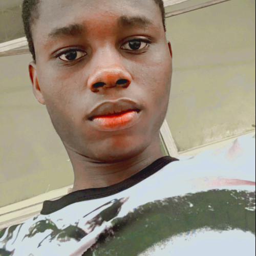 Daniel V. profile photo