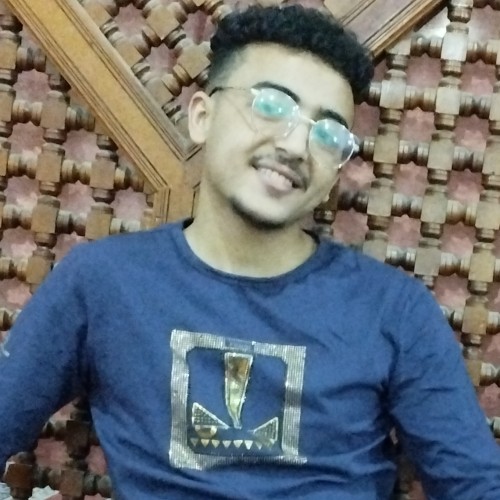 Mouad L.