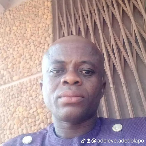 Adeleye A. profile photo