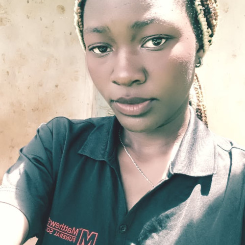 Zeno M. profile photo
