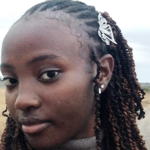 staize N. profile photo