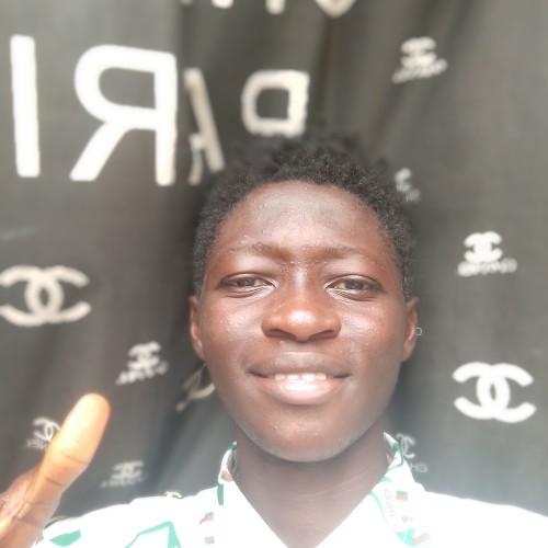 Oyeleye  I. profile photo