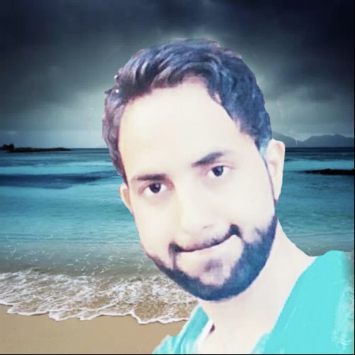 ASHIQ HUSSAIN  L.
