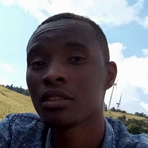 David K. profile photo