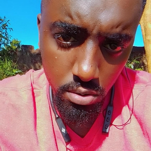 Steve P. profile photo