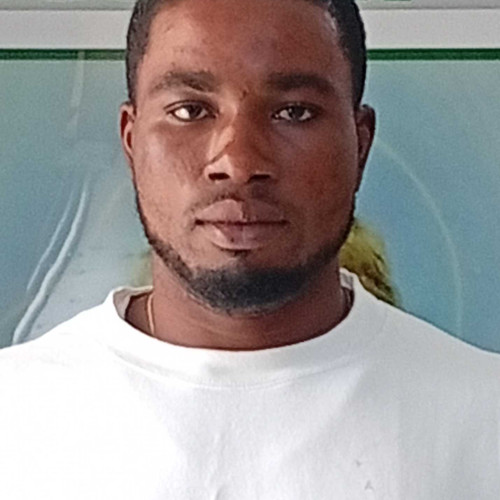 chinedu A.