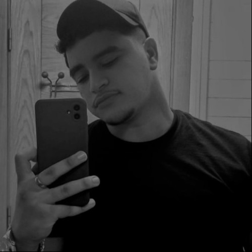 Mehdi M.