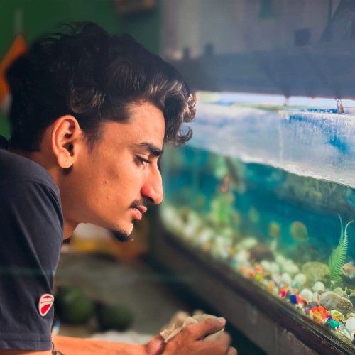 Anirudh K. profile photo
