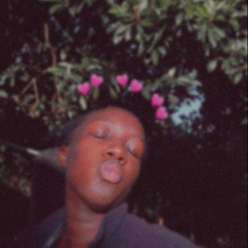 Elsie l. profile photo