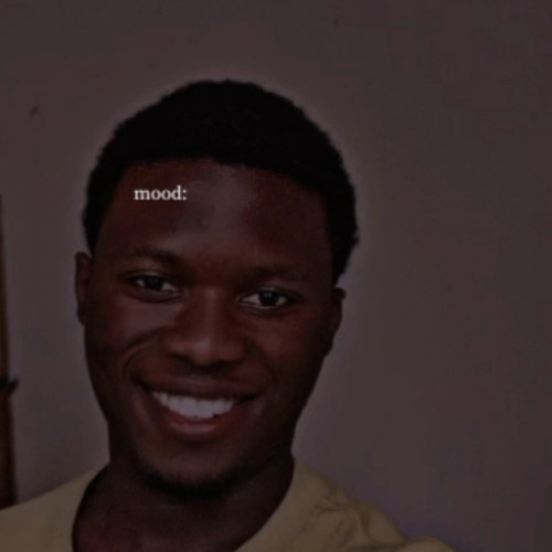 Temitayo  T. profile photo