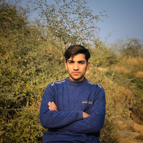 Hamid N.