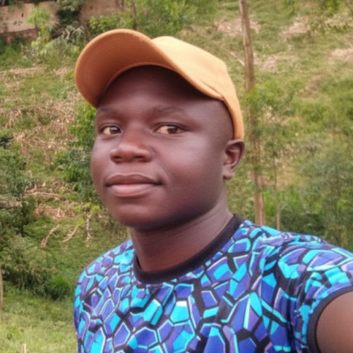 Felix  W. profile photo