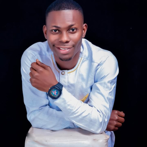 Olatoyinbo  I. profile photo
