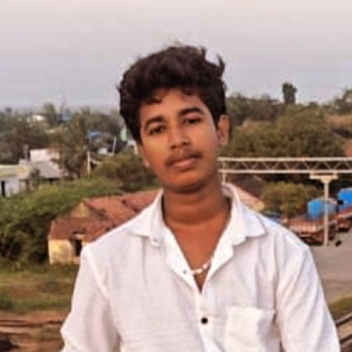 ramana h.