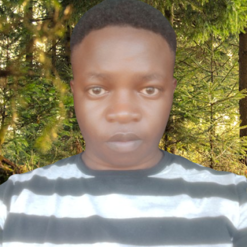 Bornface A. profile photo