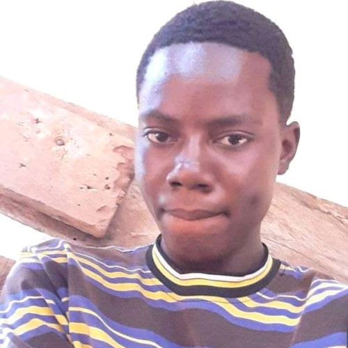 Nnaemeka  G. profile photo
