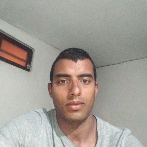 Ronny H. profile photo