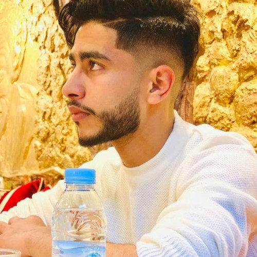 Hamza H. profile photo