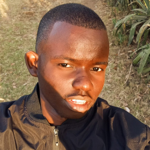 joshua N. profile photo