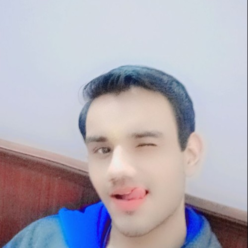 Ayush  S. profile photo