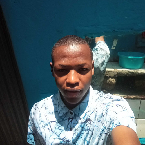 David N. profile photo