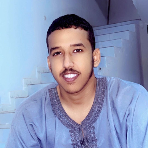 Mohamed Lemin T. profile photo