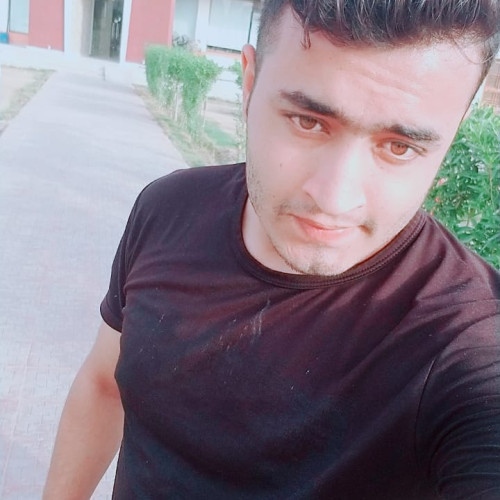 Mohsin W. profile photo
