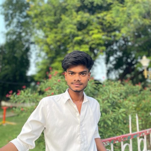 Ayush S.
