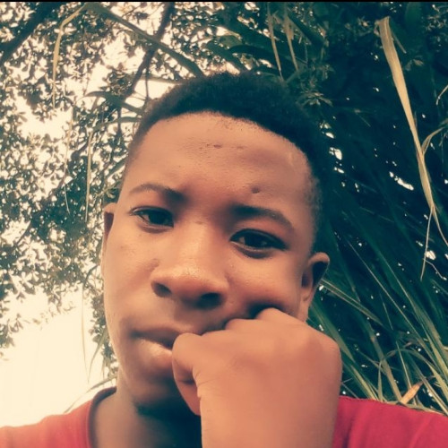 Kingsley C. profile photo