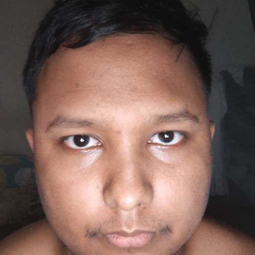Biswajit S. profile photo