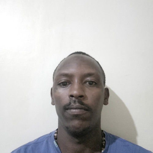 Teddy M. profile photo